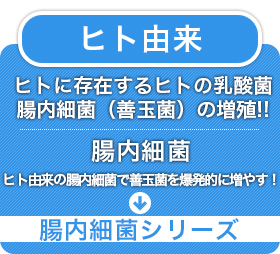 【ヒト由来】ヒトに存在するヒトの乳酸菌。腸内細菌（善玉菌の増殖！！）　ヒト由来の腸内細菌で善玉菌を爆発的に増やす！→腸内細菌シリーズ