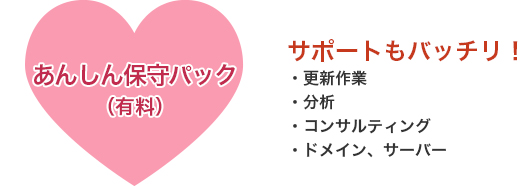 あんしん保守パック（有料）　サポートもバッチリ！【・更新作業・分析・コンサルティング・ドメイン、サーバー】